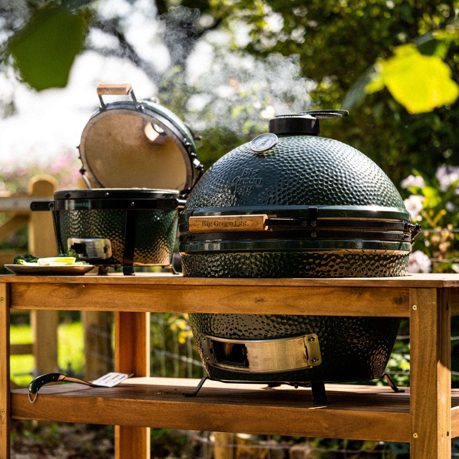 products/1.EGGs-MiniMax-XLBigGreenEgg-AcaciaTable.jpg